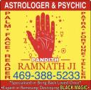 Indian Astrologer & Spiritual Healer logo